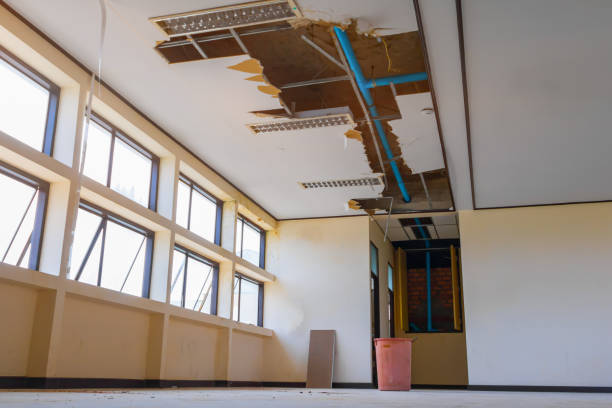Best Water damage restoration near me  in Surrey, ND