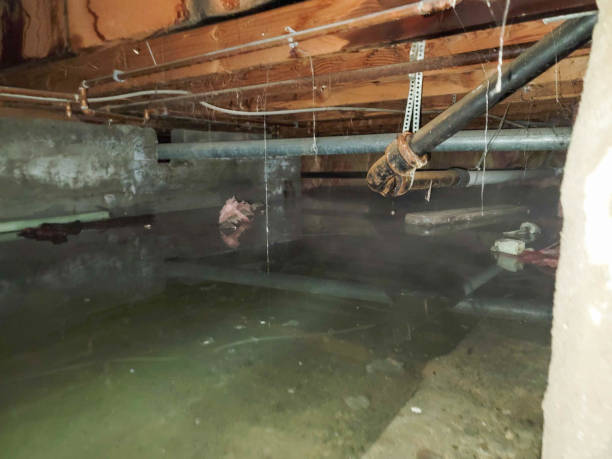 Best Emergency water extraction  in Surrey, ND