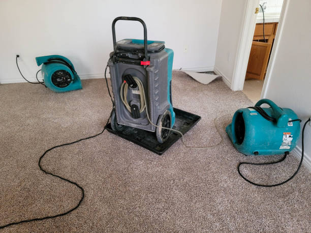 Best Carpet water damage restoration  in Surrey, ND