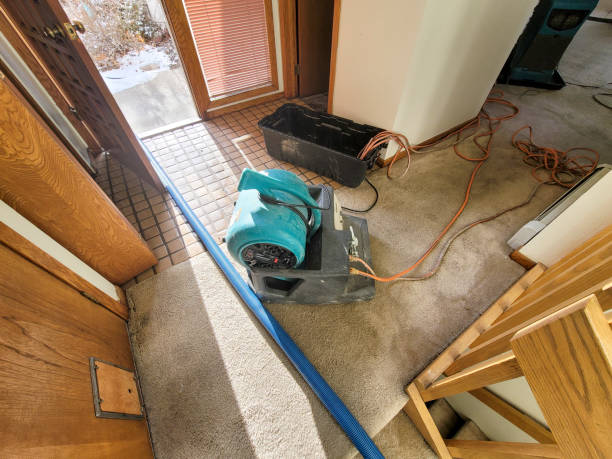 Best Flooded house restoration  in Surrey, ND