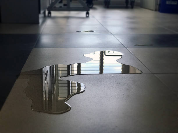 Best Carpet water damage restoration  in Surrey, ND
