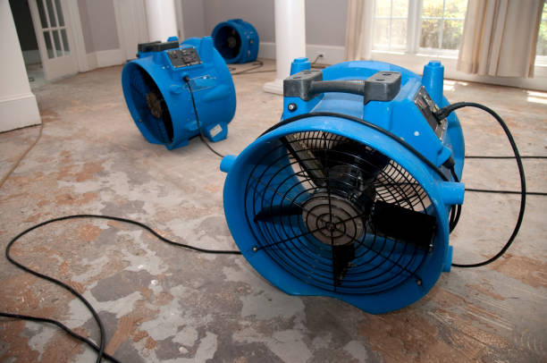 Best Flood damage cleanup  in Surrey, ND