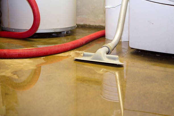 Best Water damage contractors near me  in Surrey, ND