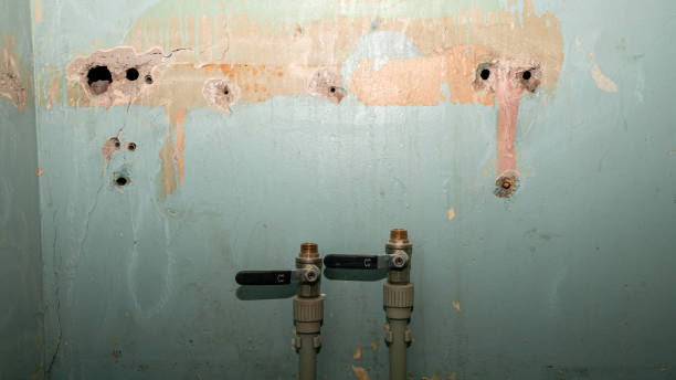 Best Professional water damage repair  in Surrey, ND