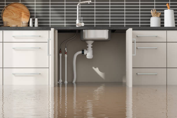 Best Water damage restoration near me  in Surrey, ND