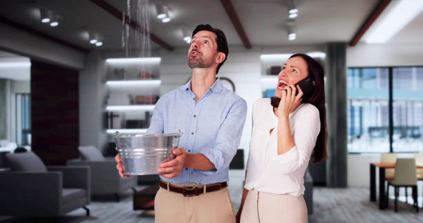 Best Water damage restoration services  in Surrey, ND