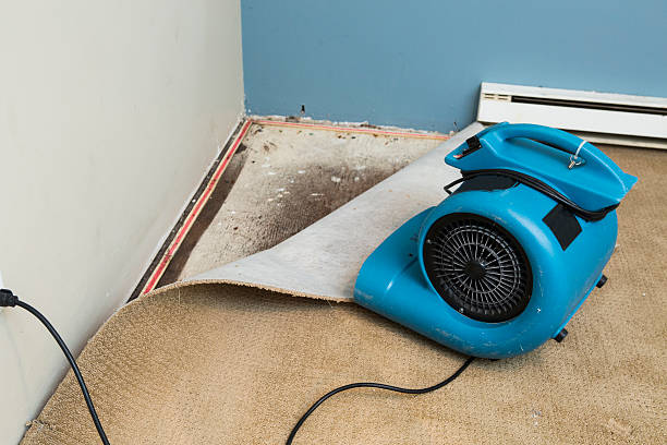Reliable Surrey, ND Water damage restoration Solutions